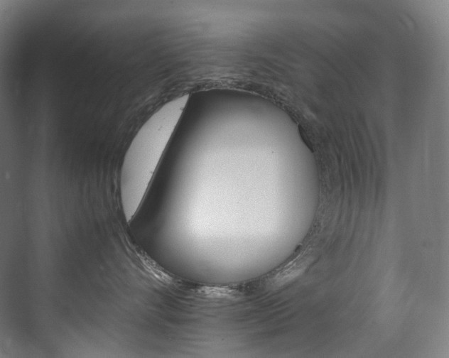 X0000075360528200609080842