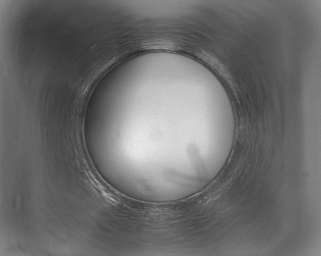 X0000075360529200609080841