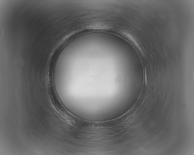 X0000075360531200609080841