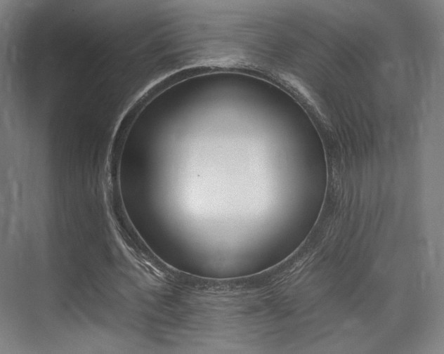 X0000075360532200609080841