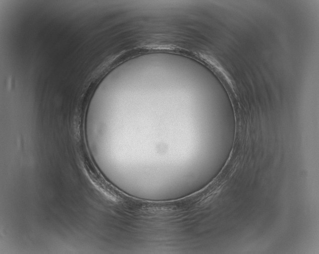 X0000075360533200609080841