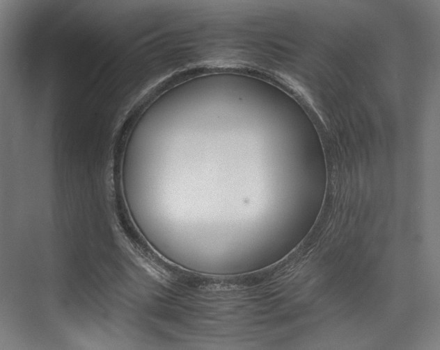 X0000075360535200609080841