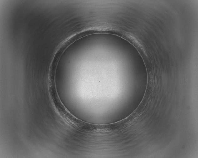 X0000075360536200609080841