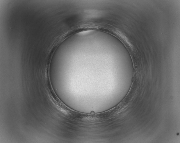X0000075360537200609080841