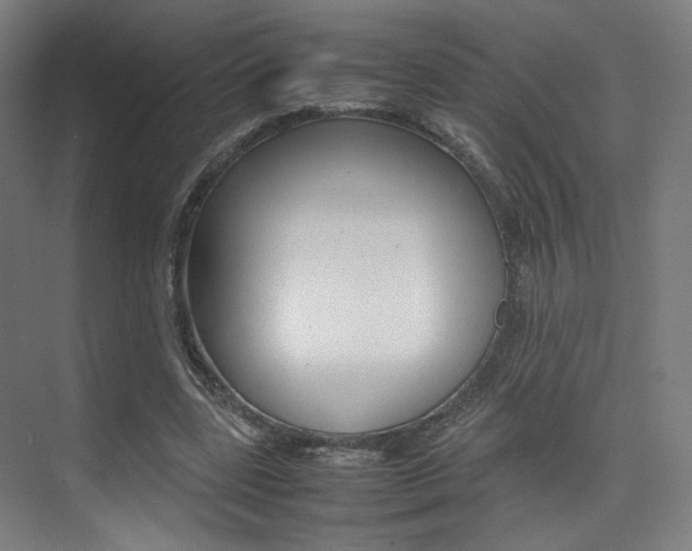 X0000075360539200609080841
