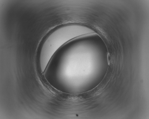 X0000075360540200609080841