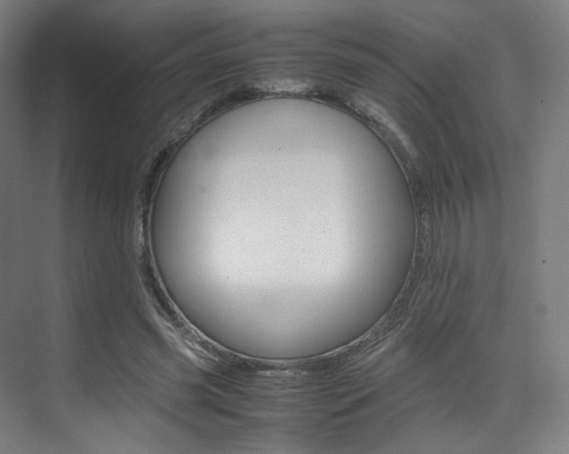 X0000075360541200609080841