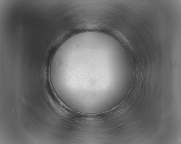X0000075360542200609080841
