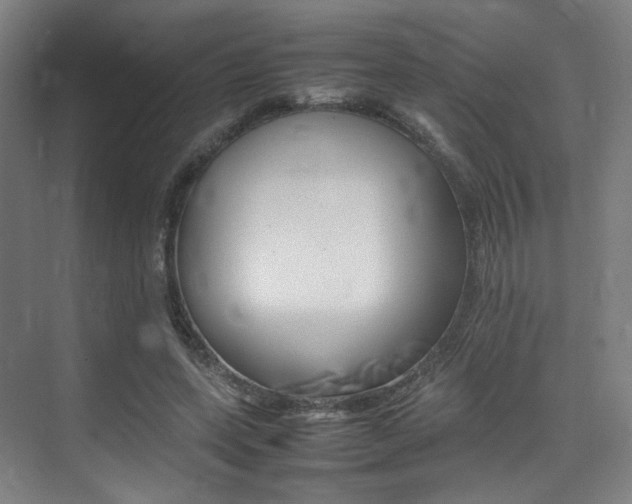 X0000075360543200609080841