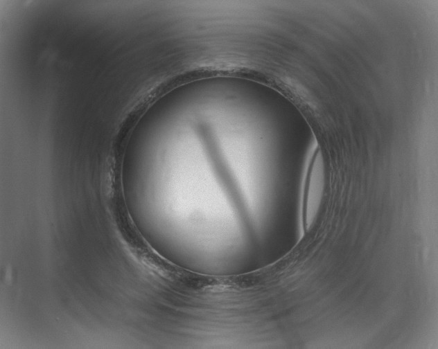 X0000075360544200609080841