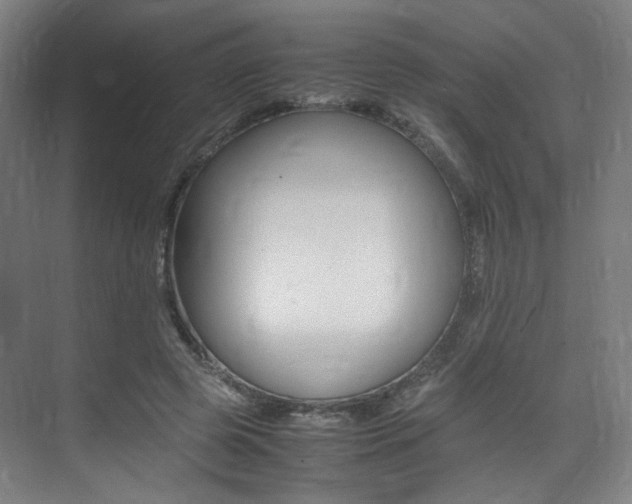 X0000075360545200609080841