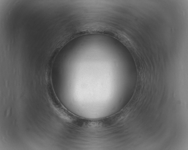 X0000075360546200609080841