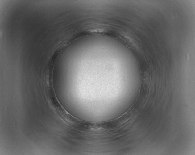 X0000075360547200609080841