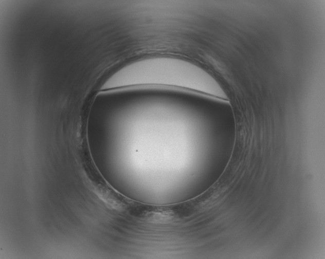 X0000075360548200609080841