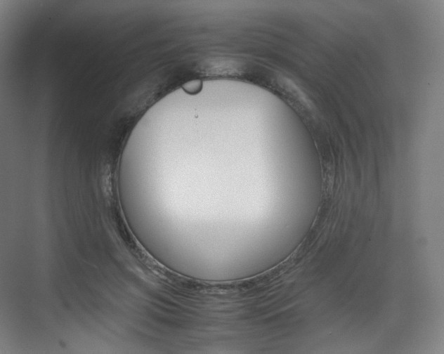 X0000075360549200609080841