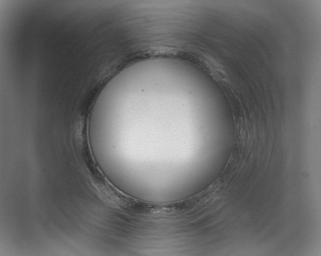 X0000075360550200609080841