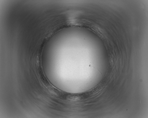 X0000075360551200609080841