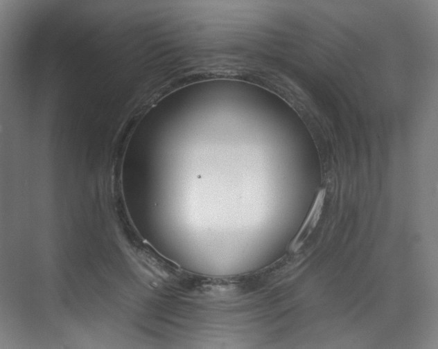 X0000075360552200609080841