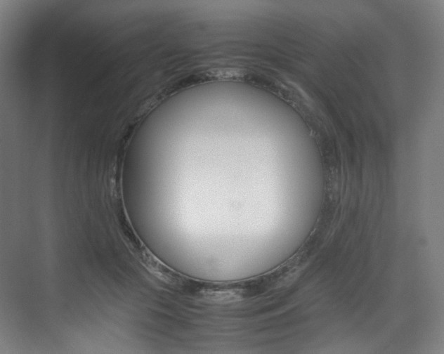 X0000075360553200609080841