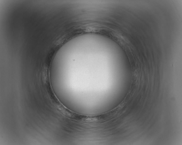 X0000075360554200609080841