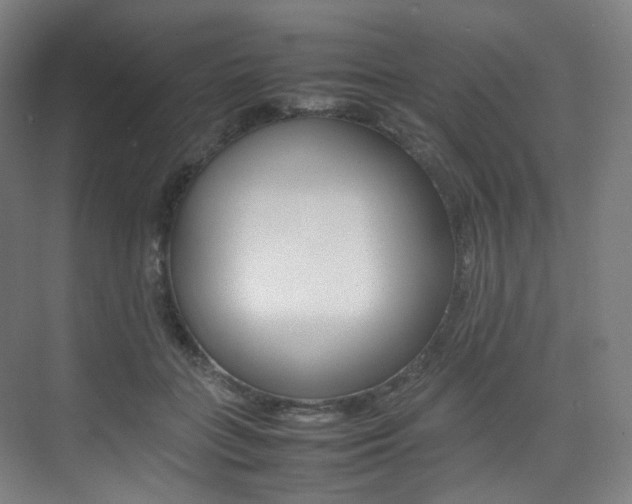 X0000075360555200609080841