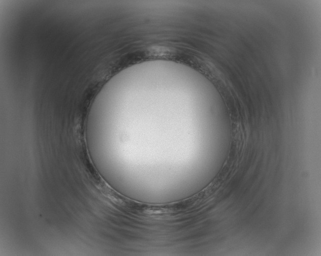 X0000075360557200609080841