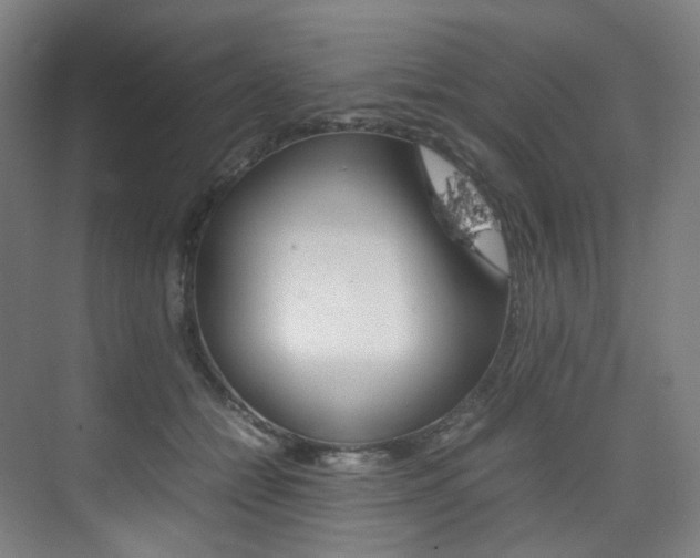 X0000075360558200609080841