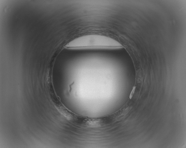 X0000075360560200609080841