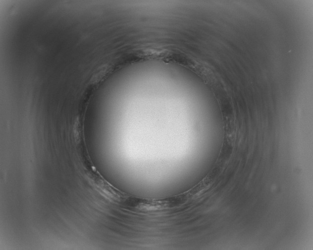 X0000075360563200609080841