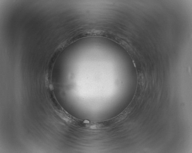 X0000075360564200609080841