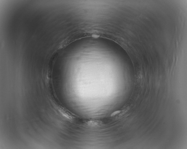X0000075360566200609080841