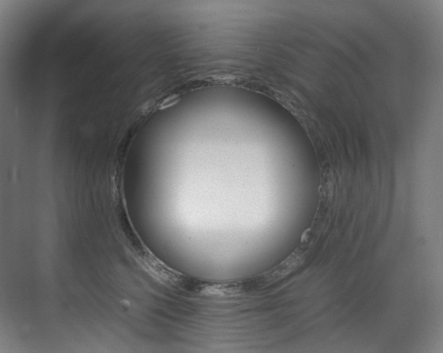 X0000075360568200609080841