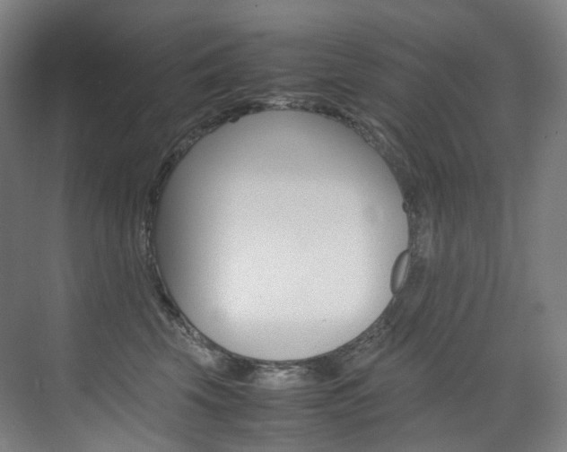 X0000075360569200609080841