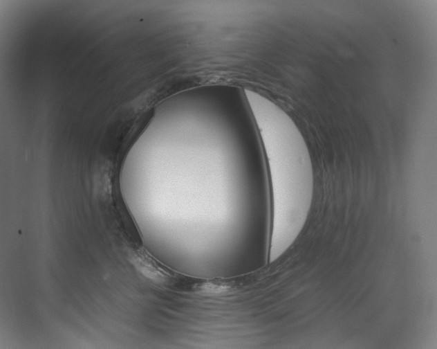 X0000075360570200609080841