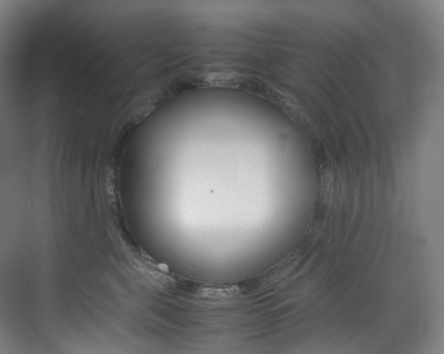 X0000075360571200609080842
