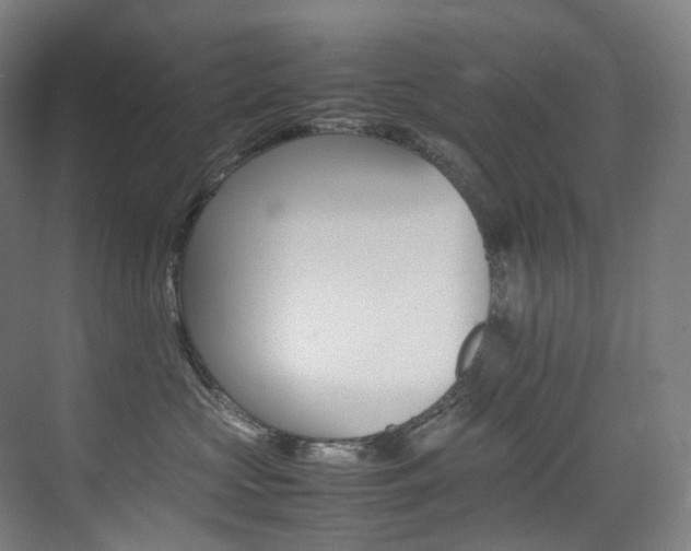 X0000075360573200609080842