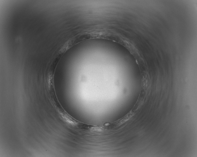 X0000075360574200609080842