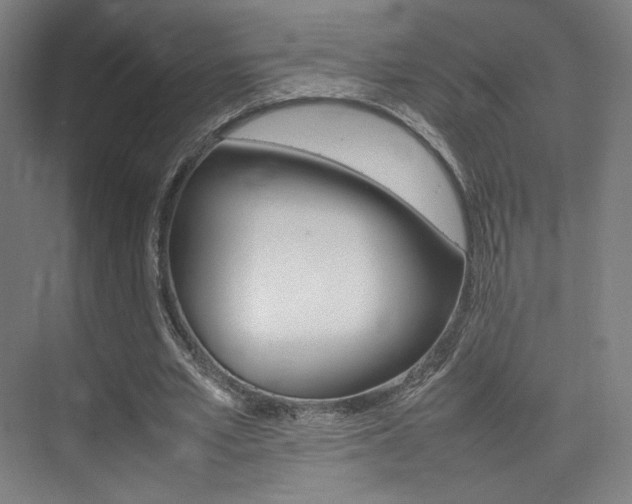 X0000075360581200609080841