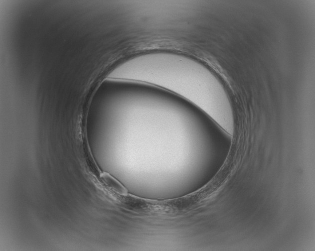 X0000075360585200609080841