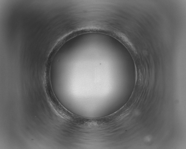 X0000075360588200609080841