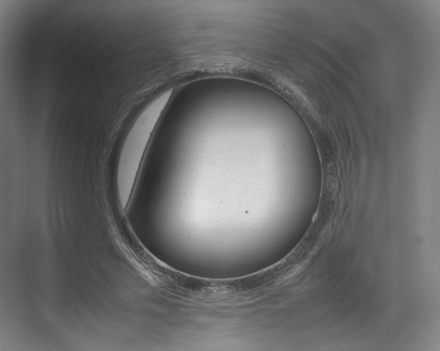X0000075360589200609080841