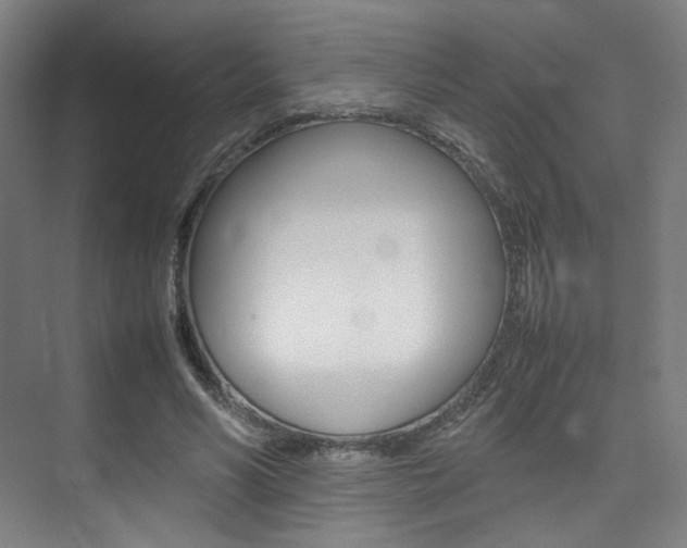 X0000075360590200609080841