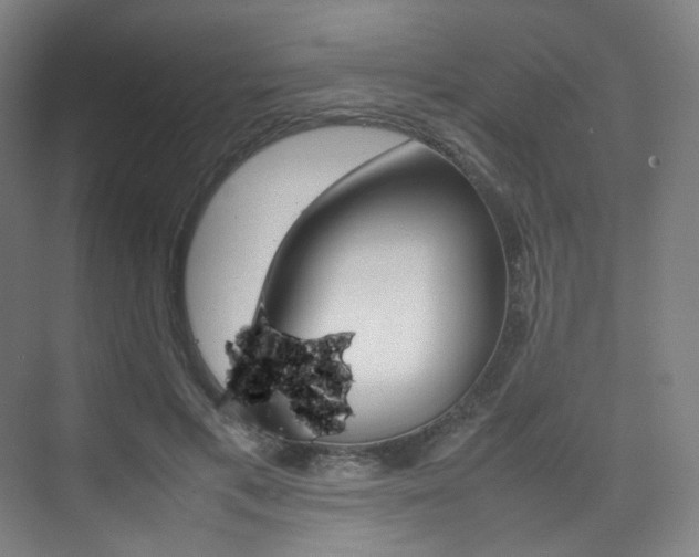 X0000075360597200609080840