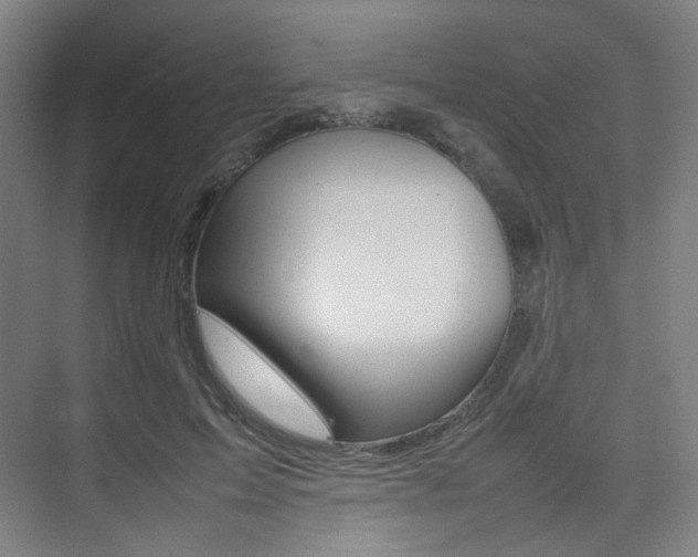 X0000075360599200609080840