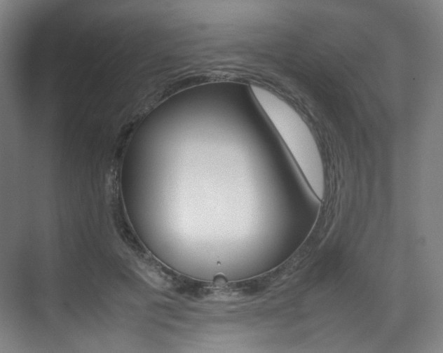 X0000075360601200609080840