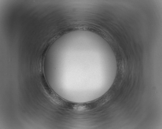 X0000075360602200609080840