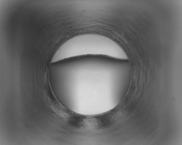 X0000075360603200609080840