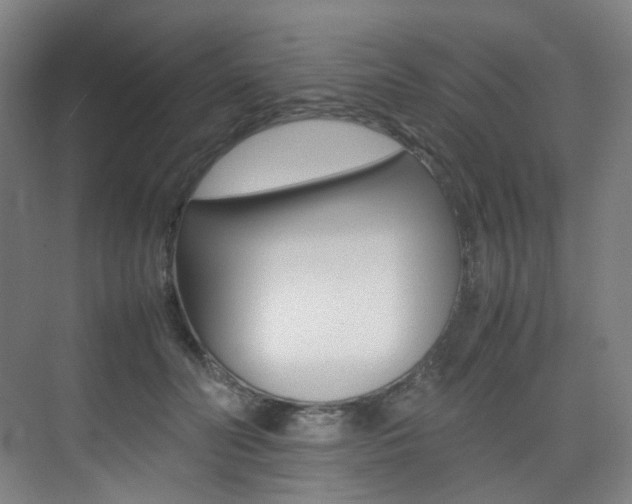 X0000075360606200609080840