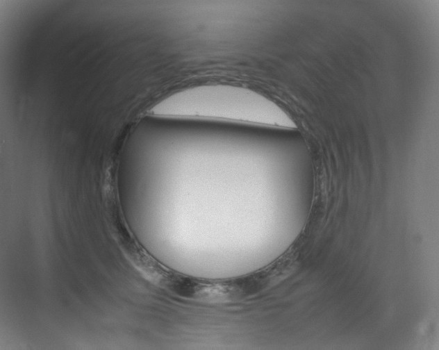 X0000075360611200609080840