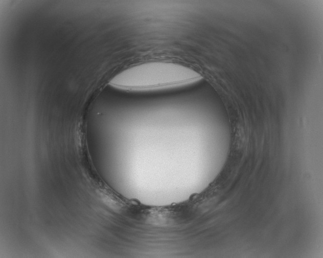 X0000075360612200609080840